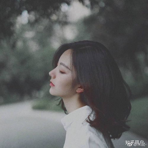 女士头像500张