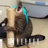  抓头表情包