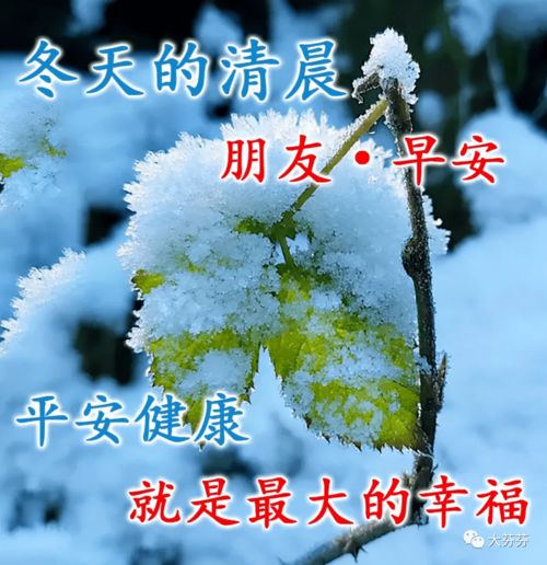  中老年表情包,冬天早上好问候祝福语,青山依旧在,几度夕阳红