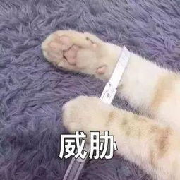  刘天池看好易烊千玺,节目组却诱导网友却抹黑diss你搞清楚了吗