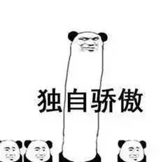  硬eng是不得了这个长虹团队绕地球走了半圈儿