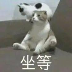 板凳表情包我不想