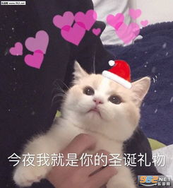 今夜我就是你的圣诞礼物喜欢吗图片我能和你过圣诞节吗表情包下载乐游网游戏下载