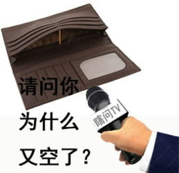  狐言不乱语养狗1年花5万这年头活得不如宠物太正常