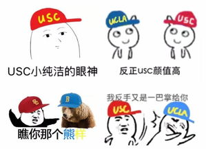  聊天斗图找不到合适的表情包这波留学生专属超全表情包了解一下