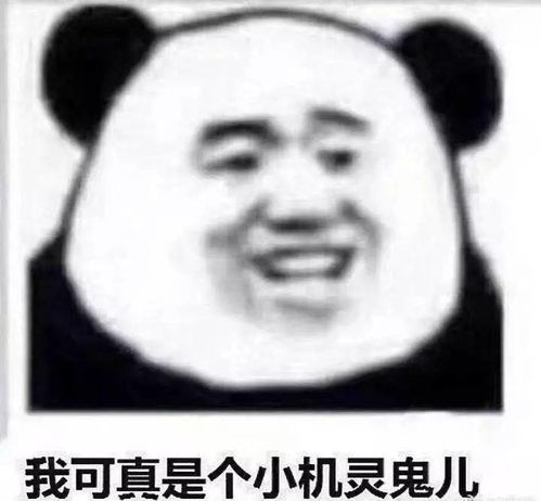  熊猫头表情包i谈什么恋爱是钱多没地方花吗