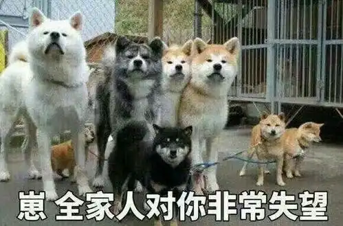  你们都用过哪些超级怼人的表情包
