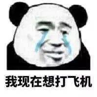  熊猫头表情包i事情变得有趣了