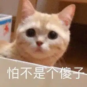  可爱小猫咪表情包为了生活低三下四