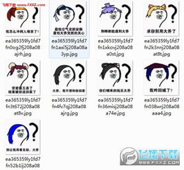 让我静静表情包大乔