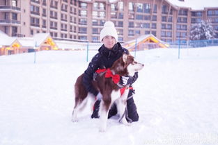  欺负小公举国民老公王思聪坐雪橇让爱犬可可拉车
