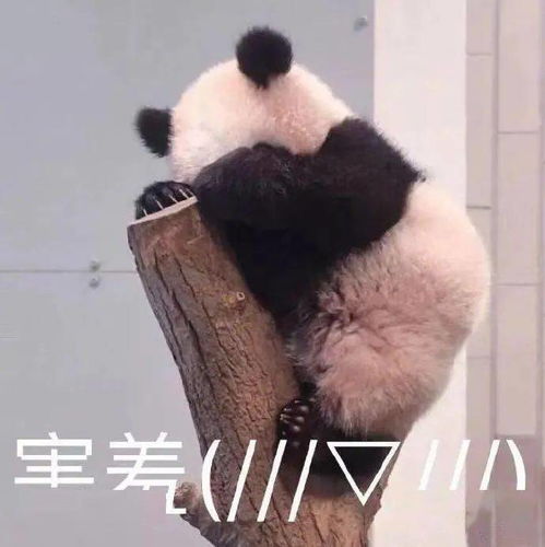  同人漫第一次参加npc表彰大会该注意些什么呢