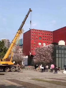  中国大妈又窜红凌空扮仙女,新加坡安娣自叹不如