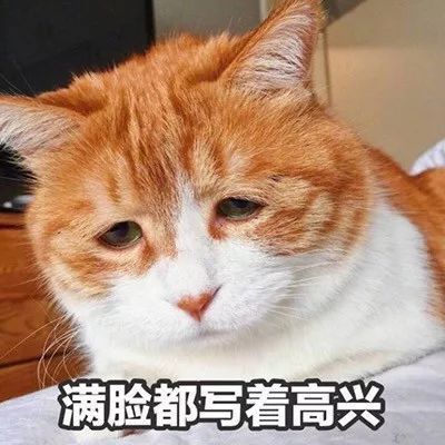  世界微笑日不好意思,我会笑里藏券