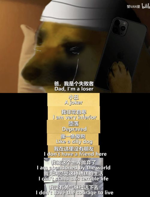  刷屏几亿人表情包的柴犬cheems,是如何火爆网络的