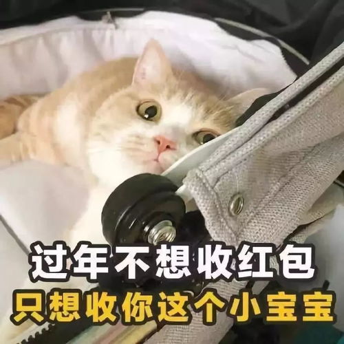 真是头大颜文字君表情包