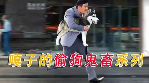  嘎子鬼畜偷狗集锦,画面过于魔性洗脑,鬼畜大佬这波拿捏了