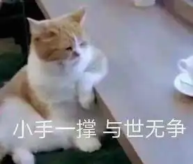  同桌私自撬开我的笔记本...求求这种奇葩原地爆炸吧