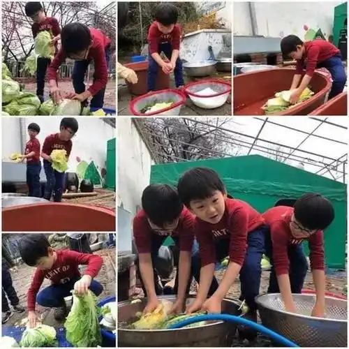  宋家三胞胎近照曝光表情包民国大韩万岁撸起袖子腌泡菜