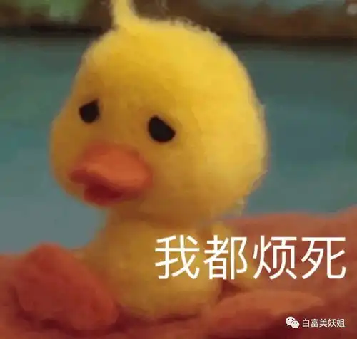  晚晚史诗级翻车艳压范冰冰心机被戳破,10年旧照复盘不忍看