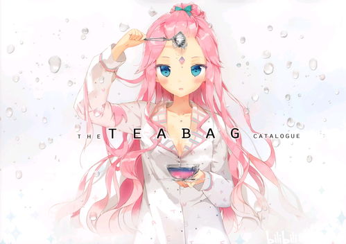  著名韩国画师anmi作品集theteabagcatalogue茶包目录