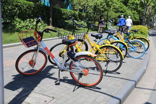  优漫小记者街边采访关于共享单车,请说出你的想法