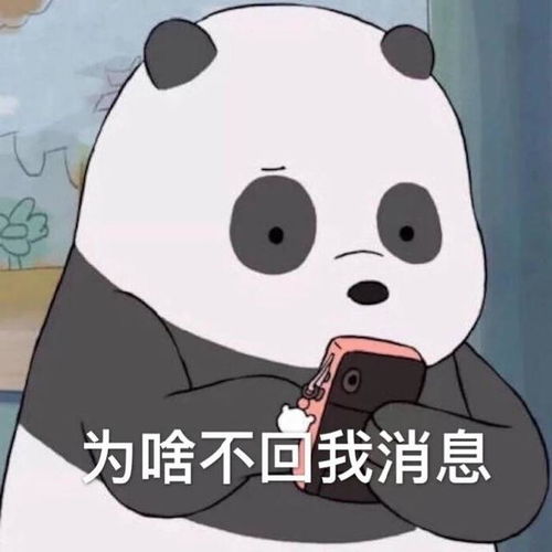  不及时回消息没关系,只要别让我在一分钟后看见你发了朋友圈