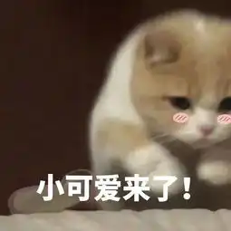 沈梦辰拉着杨超越当学人精,关晓彤也跟风出了个山寨版