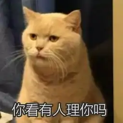摸头表情包猫剪辑