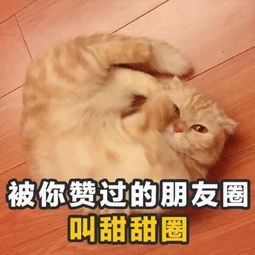  2018年最火的100个土味情话撩妹必备