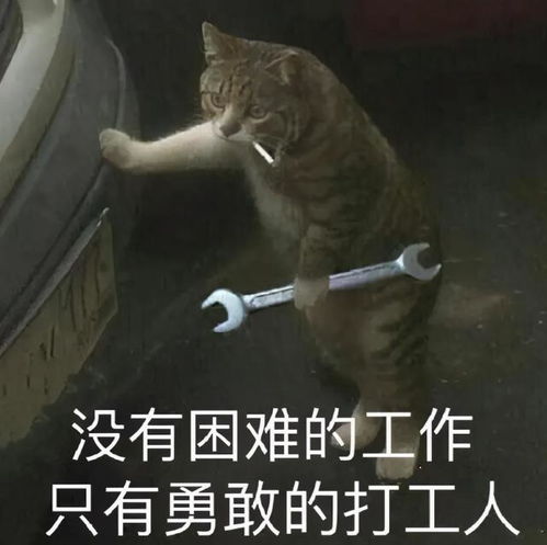  打工人梗为什么会火黄子韬可出了不少力,一看姿势就是深藏不露