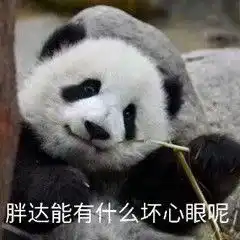  520沙雕文案合集