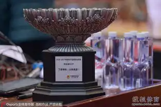  组图丁彦雨航获常规赛mvp奖杯表情异常镇定8924001