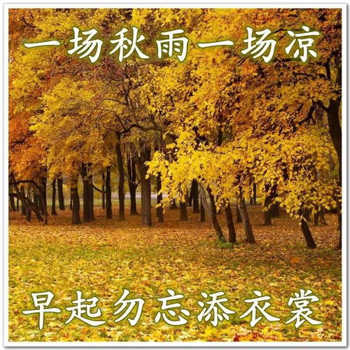  最新周五早上好表情图片大全,收拾好心情,晒晒阳光,温暖一整天