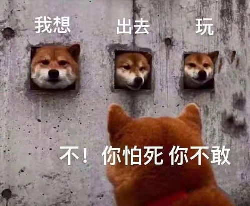  如果一觉醒来疫情消失了,网友评论瞬间泪目...