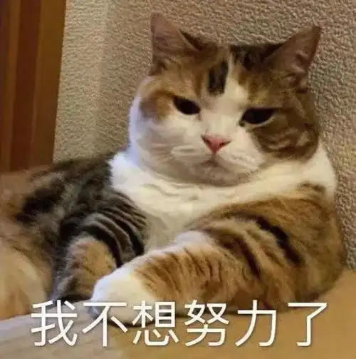  表情包gif动图聊天表情包