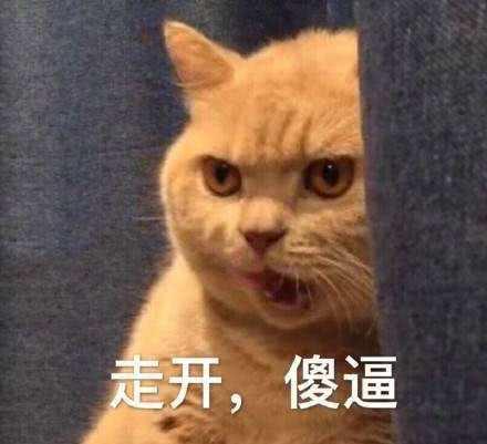  笑话五条妈妈,你真的不孝顺