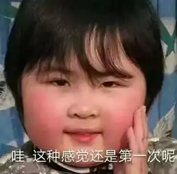  一文读懂抵押车的猫腻