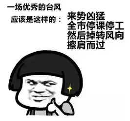  利奇马超强台风要来啦别哭这套爆笑表情包请客官收下
