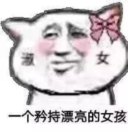  每日表情微信聊天斗图