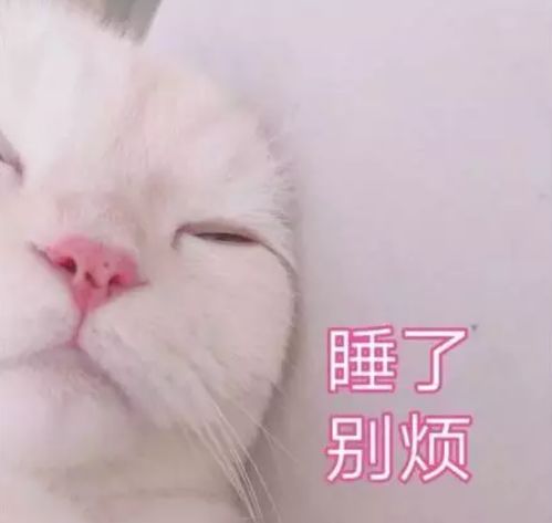  你最常用哪些有意思的表情包