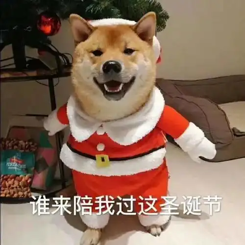 感谢别人的表情包圣诞节