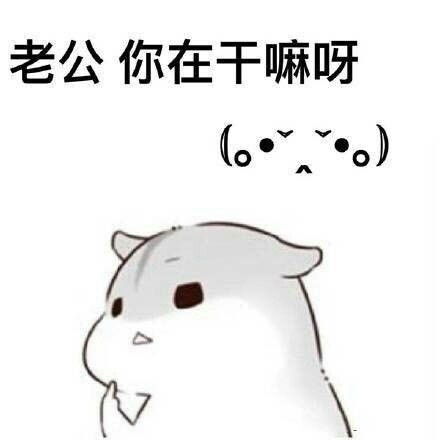  你在干嘛呀表情包合集