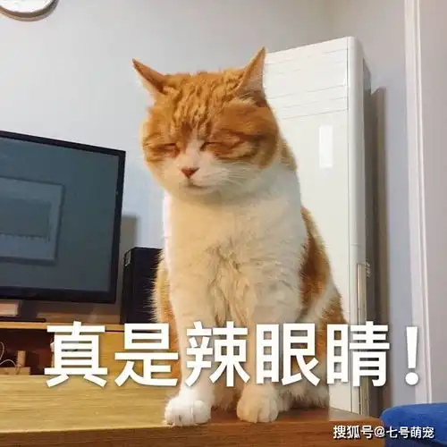  为激发老虎的兽性,饲养员将土狗关进去,隔天去看时太辣眼睛了
