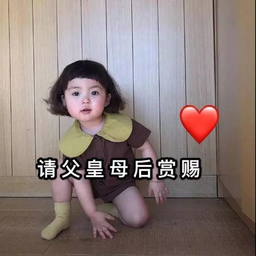  大学教给你什么道理来听听学长学姐的真实回答
