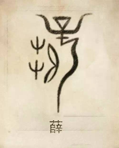  汉式文化你的姓氏长啥样姓氏图腾,长知识