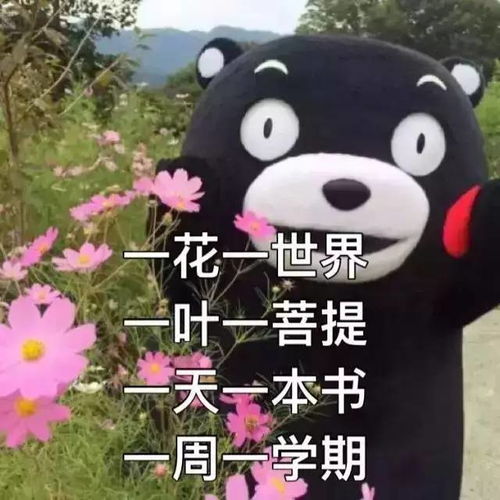  一句话形容你的考试周
