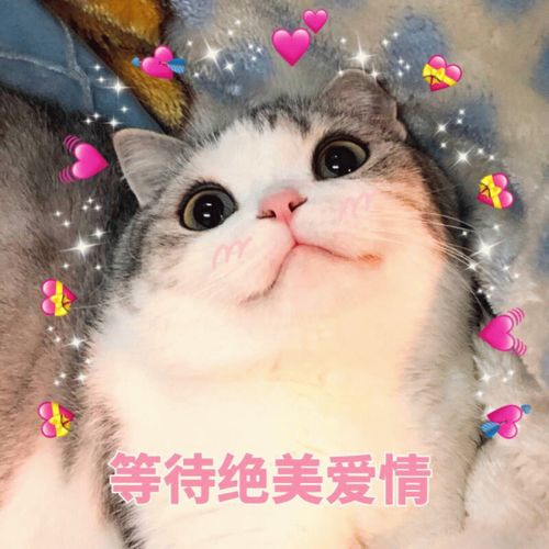 自闭表情包顶嘴