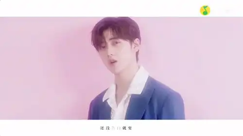  r1se明星资料大全r1se动态r1se电视剧电影爱奇艺泡泡