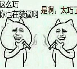  表情包呸,你个战五渣渣,整天就知道斗图